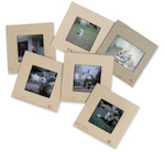  numériser album photo - Numérisation Diapositives - Service de numérisation haute résolution